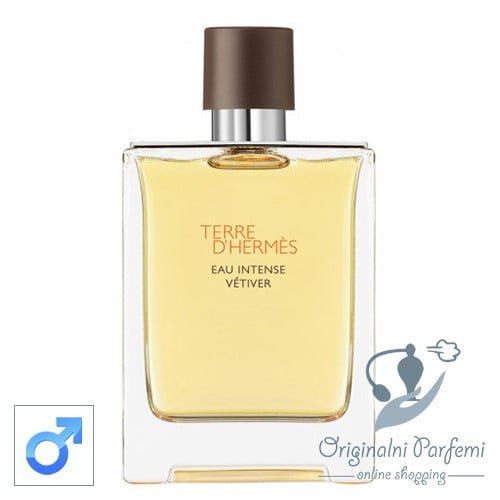 Hermes Terre d'Hermes Eau Intense Vetiver 100ml EDP