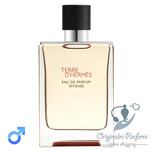 Hermes Terre d'Hermes Intense 100ml EDP